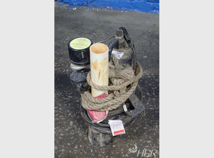 Dayton Submersible Pump