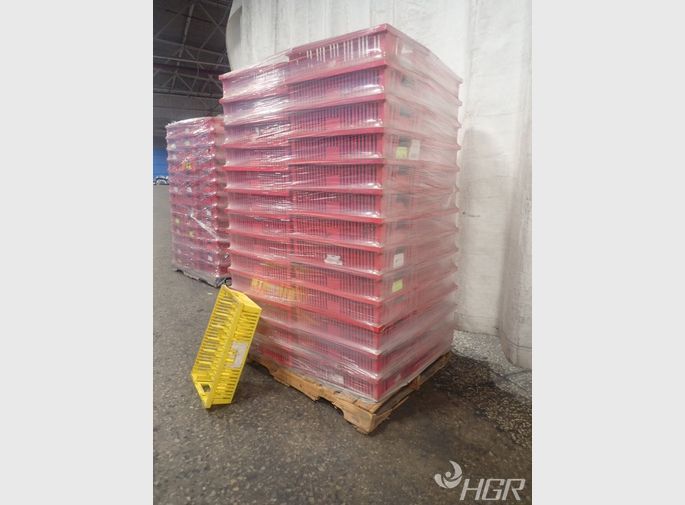  Plastic Bins