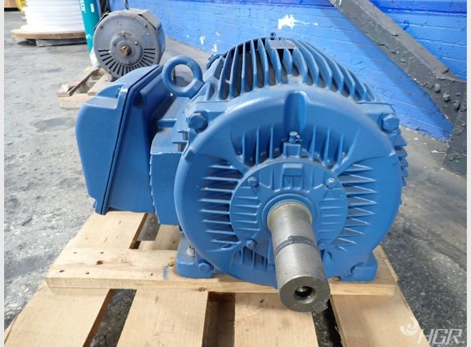Weg Motor