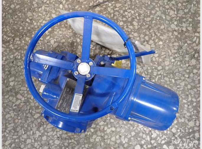 Flowserve Flowserve Mx053 Actuator