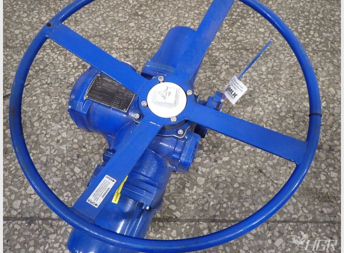 Flowserve Flowserve Mx20 Actuator