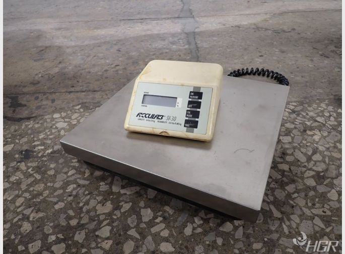 Acculab Scale