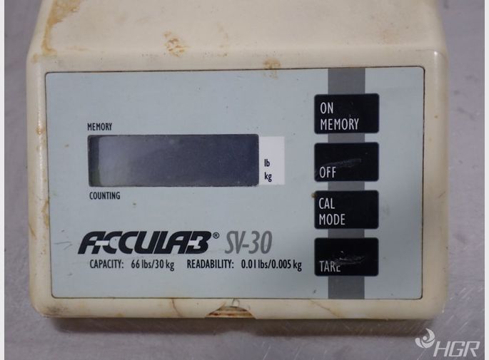 Acculab Scale