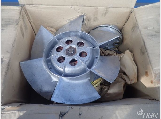 Ziehlabegg Fan Motor
