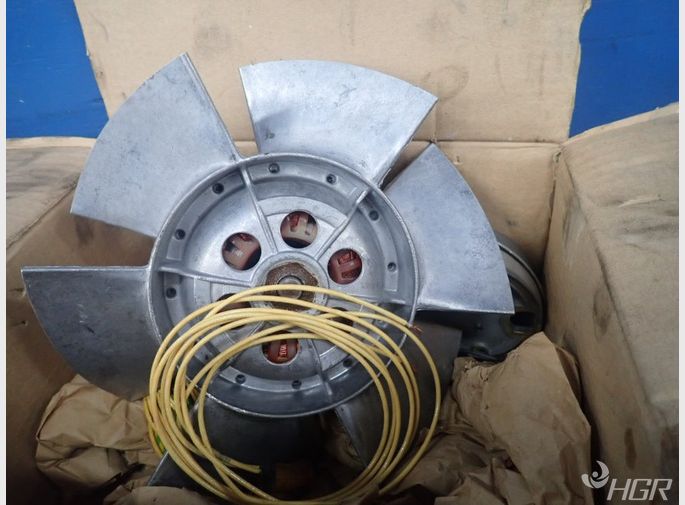 Ziehlabegg Fan Motor