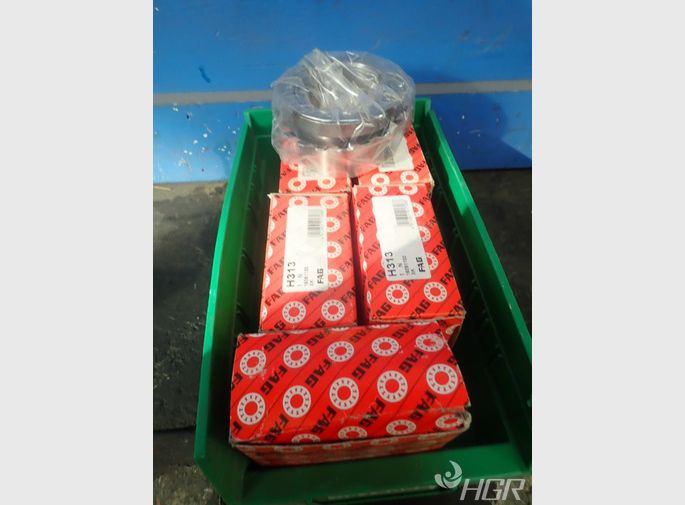 Fag Bearings