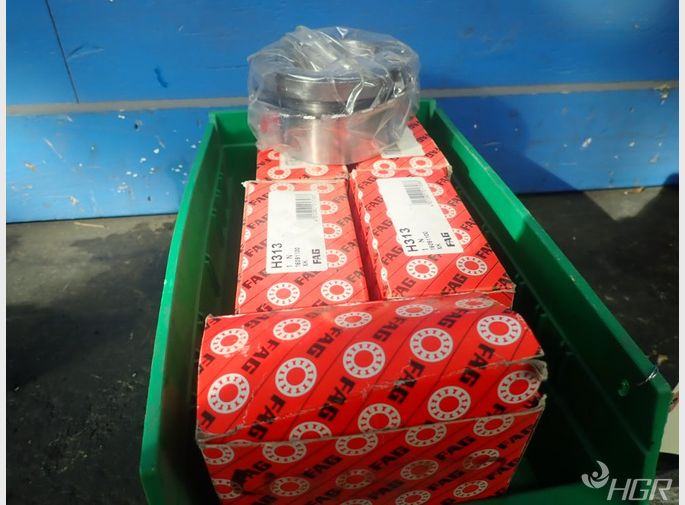Fag Bearings