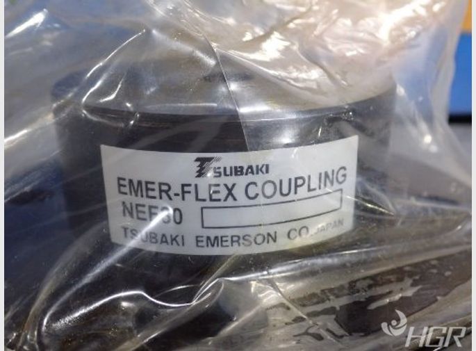 Tsubakimot Coupling