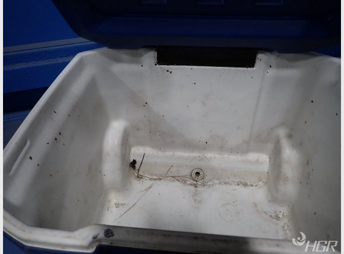 Coleman Cooler