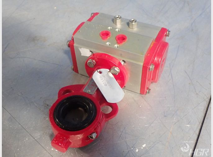  Valve With Actuator 