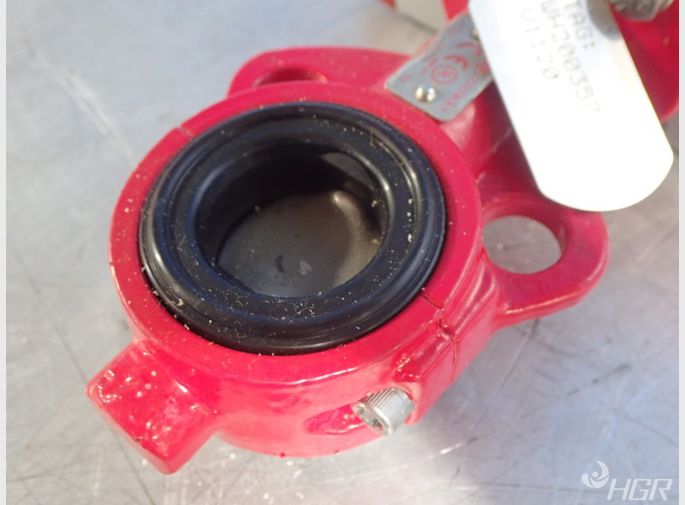  Valve With Actuator 