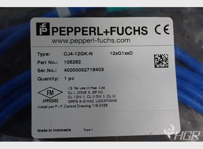 Pepper  Fuchs Sensor