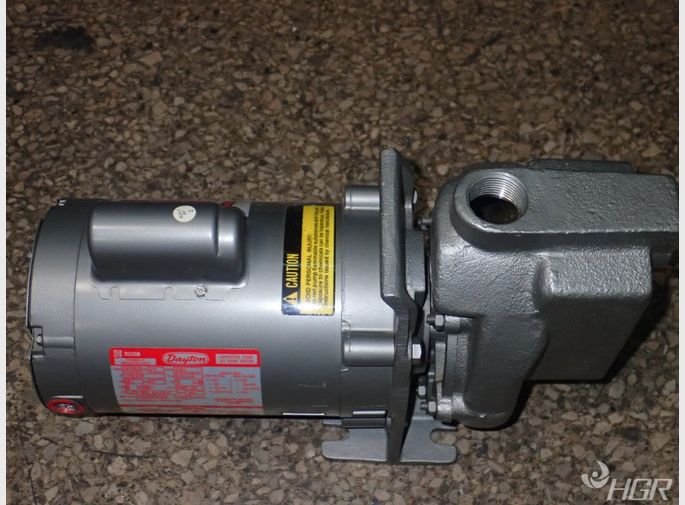 Teel Dayton Centrifugal Pump