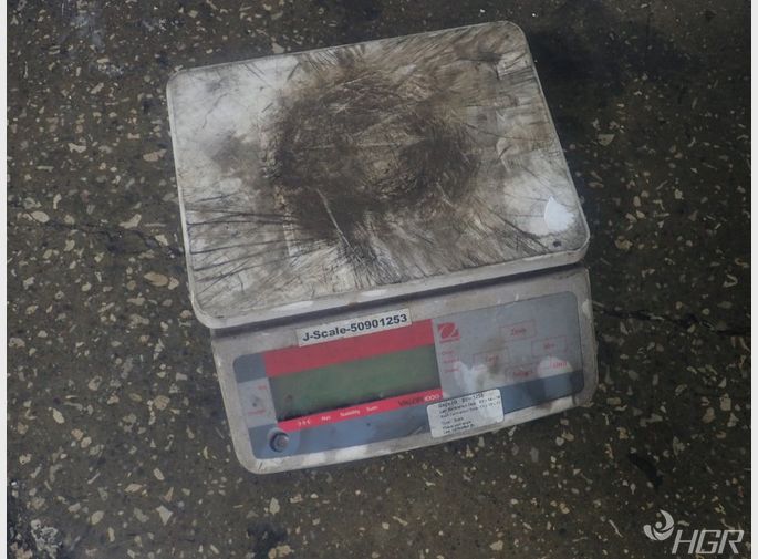 Ohaus Scale