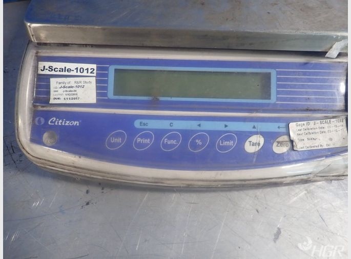 Citizon Scale
