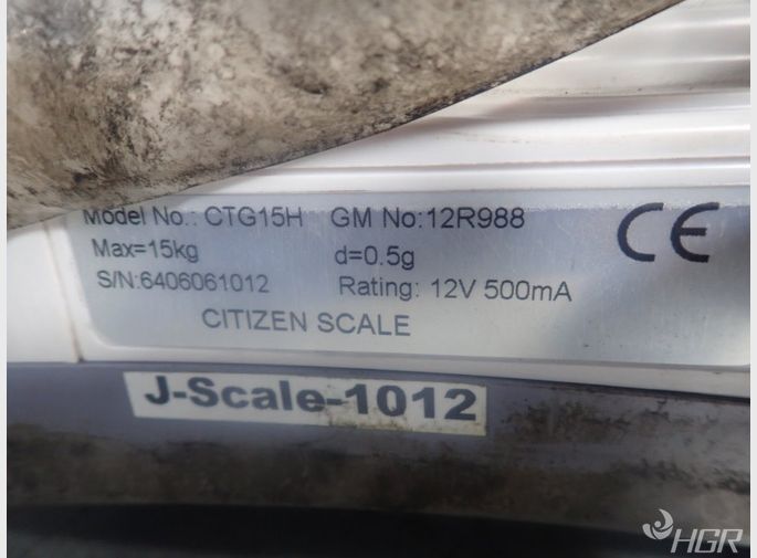 Citizon Scale