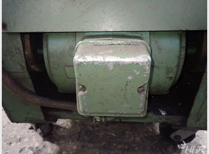 Foremost Granulator