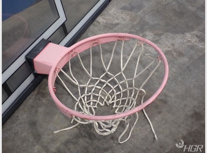 Reebok 2025 basketball net