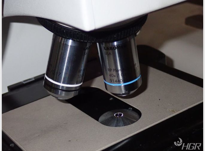 Labomed Microscope