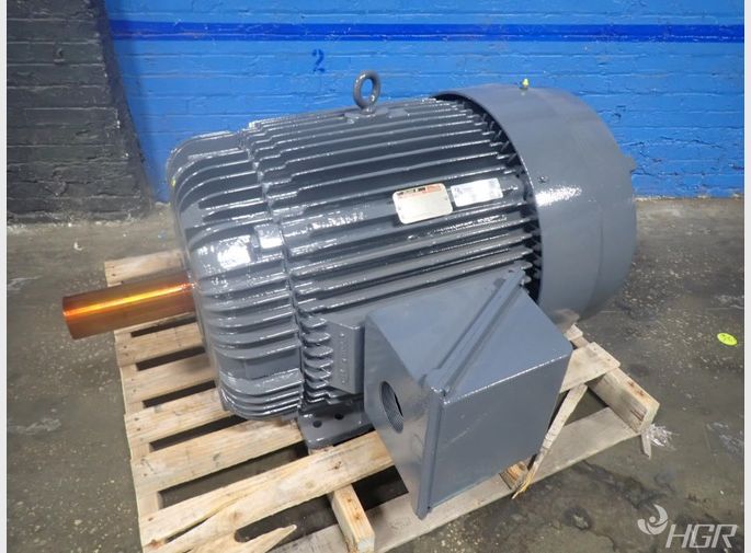 Reliance Electric Motor