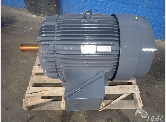 Reliance Electric Motor