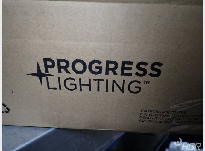 Progress Lighting Light Fixture