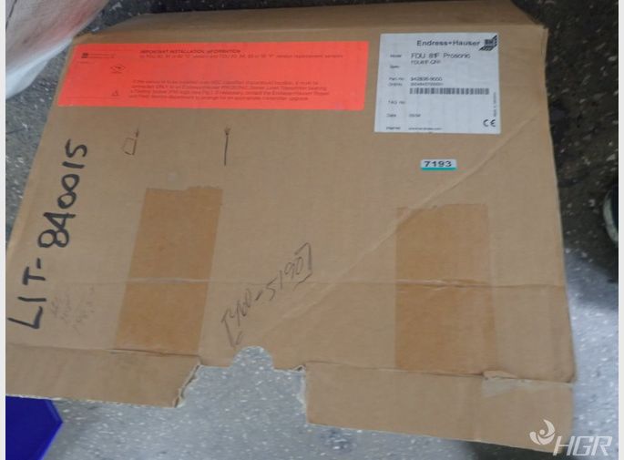 Endress  Hauser Transducer Sensor