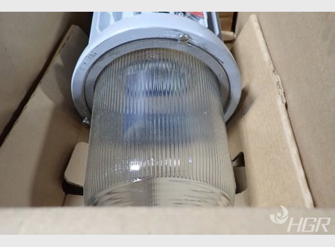 Coopercrouse Hinds Light Fixture