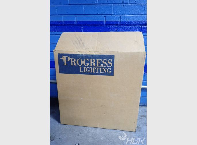 Progress Lighting Ceiling Light Fixture