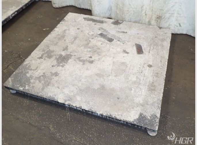  Platform Scale