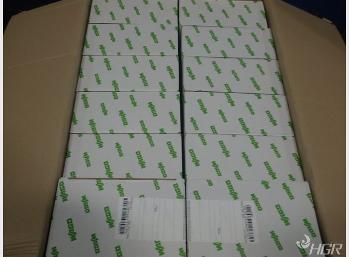 Wago Enclosed Outlet Boxes