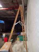 Michigan Wood Ladder