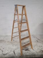 Michigan Wood Ladder