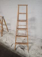 Michigan Wood Ladder