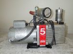 Eduardo Vacuum Pump