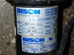 Bison Dc Gear Motor