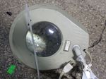  Adjustable Magnifying Work Lamp