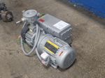 Busch Vacuum Pump