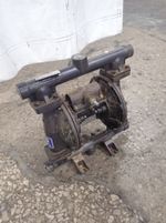 Graco  Diaphragm Pump  