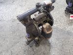 Graco  Diaphragm Pump  