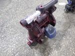 Graco  Diaphragm Pump  