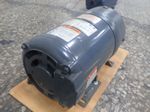 Dayton Gear Motor