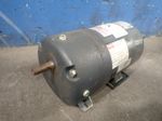 Dayton Gear Motor