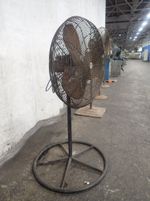  Pedestal Fan