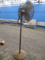  Pedestal Fan