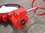 Bray Bray Butterfly Valve