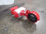 Bray Actuated Butterfly Valve