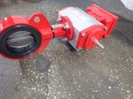 Bray Actuated Butterfly Valve