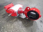 Bray Actuated Butterfly Valve