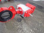 Bray Actuated Butterfly Valve